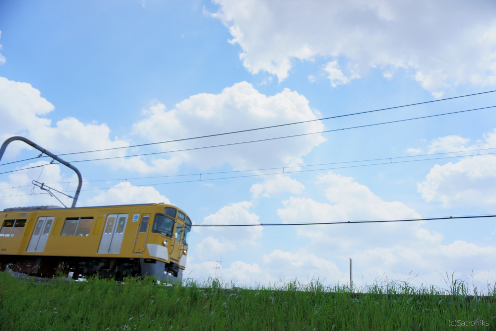 草原を走る黄色い電車